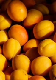 Apricots Weighed