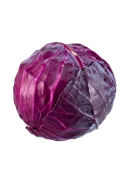 Cabbage Red