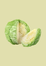 Cabbage green