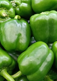 Capsicum ea