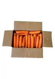 Carrots Jumbo 20kg