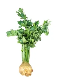 Celeriac
