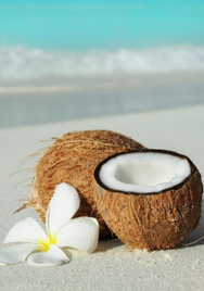Coconuts
