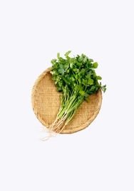 Coriander  / kg