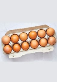Freerange Eggs Tray