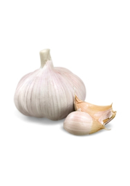 Garlic  NZ/USA  perkg