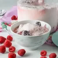 MIXED BERRY YOGHURT 70GM