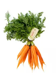 Carrots Table 20Kg