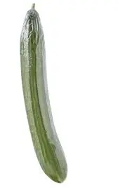 Cucumber