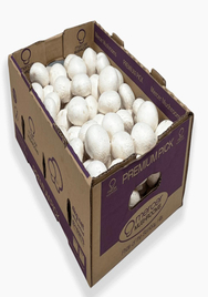 Mushrooms Button Box