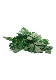 Flat parsley 100G bunches